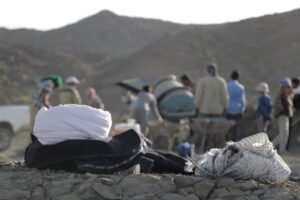 عکس از محمد حاجی حیدری