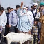 عکس از محمد حاجی حیدری