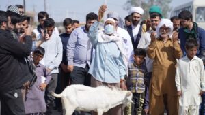 عکس از محمد حاجی حیدری